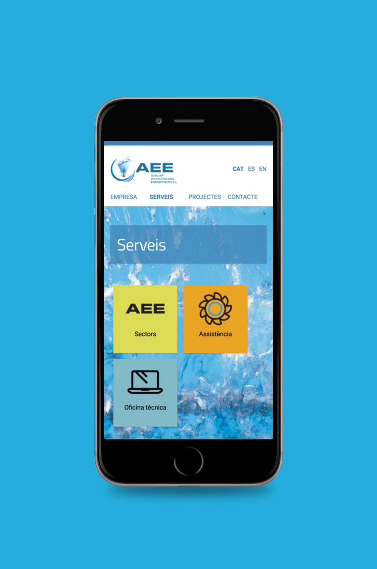 Web design for AEE